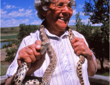 Once a snake charmer, always a snake charmer. Fearless Granny Dickerson with bull snake (Pituophis Catenifer). Montana, circa 1989.